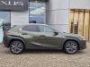 Lexus UX-300h