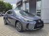 Lexus UX-300h
