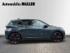 Cupra Raval