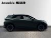 Cupra Raval