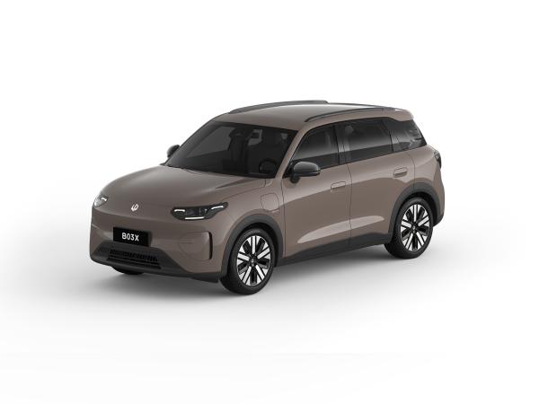 Leapmotor B03X