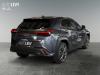 Lexus UX-300h