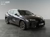 Lexus UX-300h
