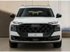 Audi Q9