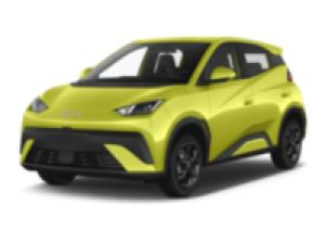 BYD DOLPHIN SURF