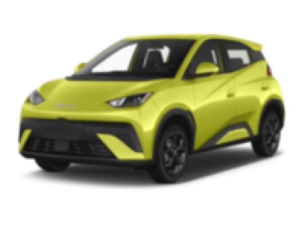 BYD DOLPHIN SURF