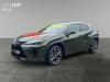 Lexus UX-300h